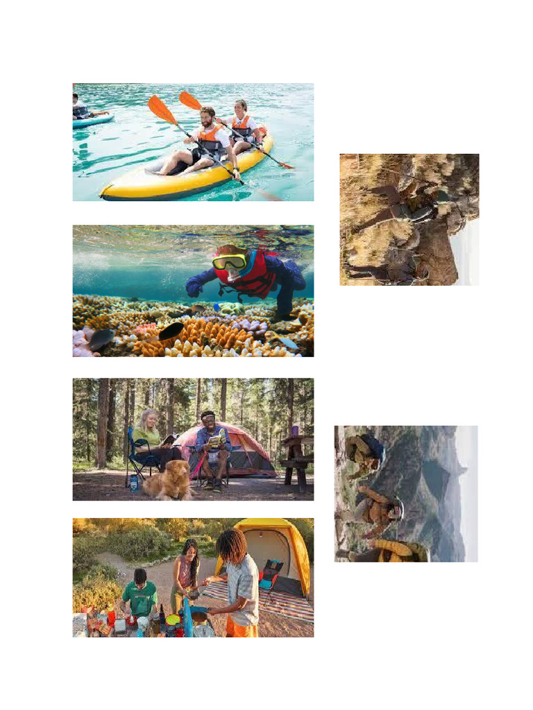 Topic Travel | PDF