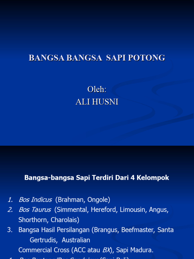 Jenis-Jenis Sapi Potong dan Ciri-Cirinya | PDF