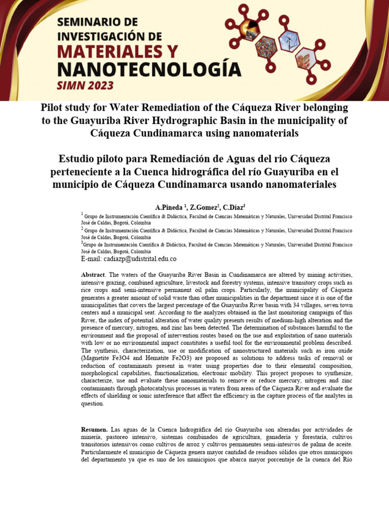 Resumen Template PDF