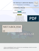 Eq.6 - Metabolismo Muscular