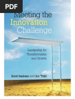 Download Meeting the Innovation Challenge by dschramm3383 SN68246126 doc pdf