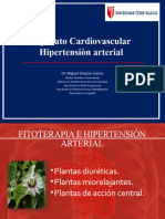 Fitoterapia - Enf. Cardiovasculares (B)