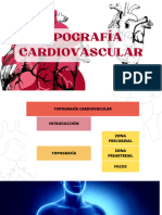 Topografía Cardiovascular
