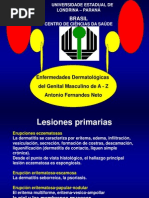Download Enfermedades Dermatolgicas  del Genital Masculino de A - Zcastelhano by Antonio Fernandes Neto SN68247441 doc pdf