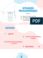 Articulación Metacarpofalangica