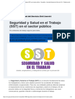 Seguridad y Salud en El Trabajo (SST) en El Sector Público - Campañas - Autoridad Nacional Del Servicio Civil - Plataforma Del Estado Peruano