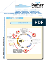 8.BIO - SemR3 - Ciclo Celular, Mitosis, Meiosis, Gametogénesis, Esporogénesis