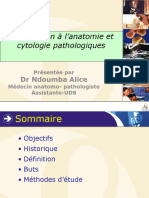 Introduction A L' Anapath