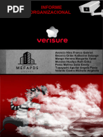 Informe Comunicacion Organizacional Final