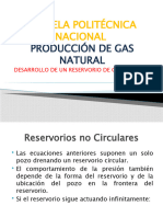 Desarrollo Reservorio Gas Ii