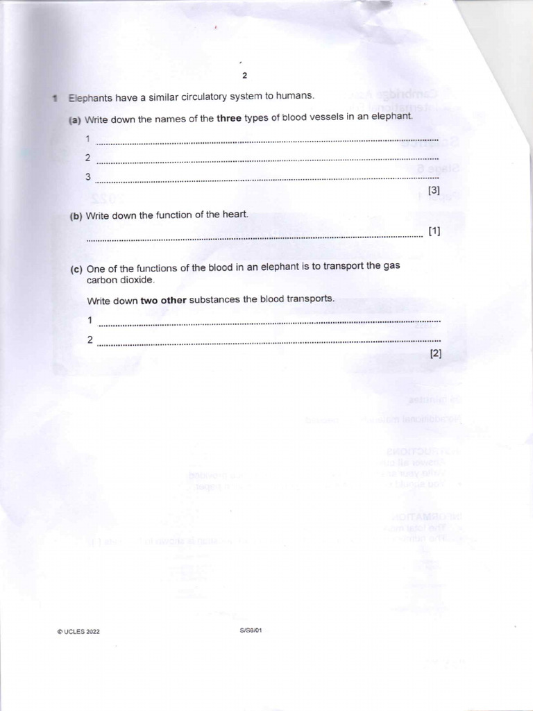 Cambridge Point 1 Pdf