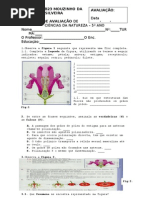 teste de c-n. 6º ano- plantas...