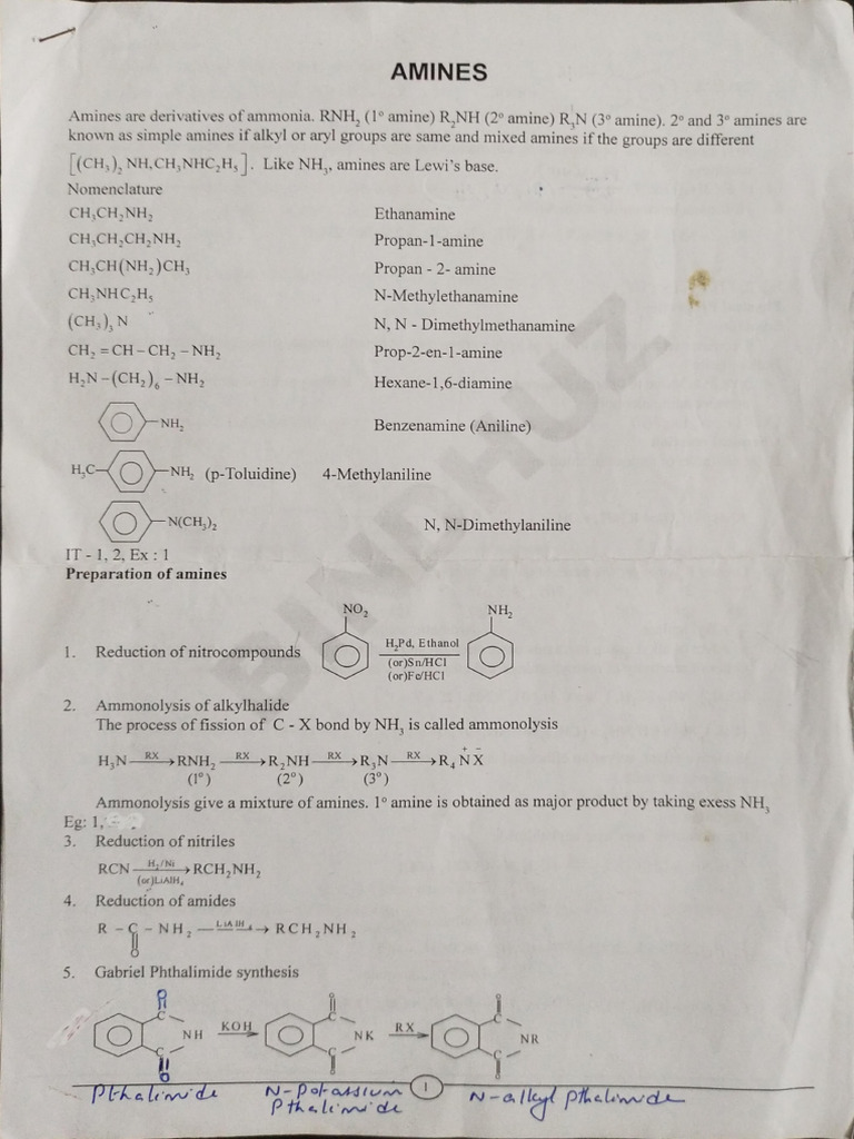 Amines | PDF