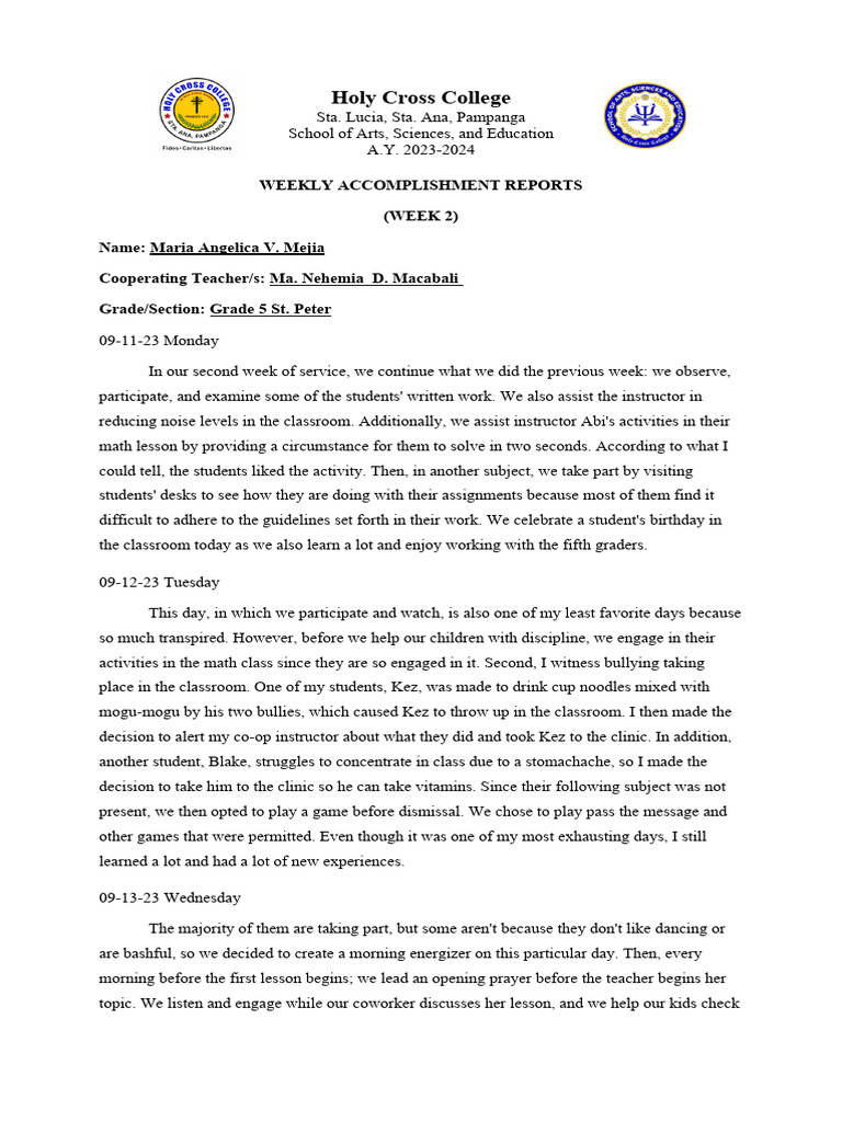 Narrative Report Template | Download Free PDF | Classroom | Teachers