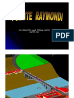 Raymondi