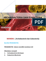 ARCHAEA EUBACTERIA baru