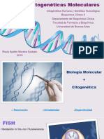 Técnicas Citogenéticas Moleculares