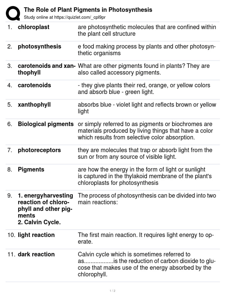 Role of Pigments in Photosynthesis | PDF | Photosynthesis | Chloroplast