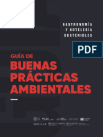 Guia de Buenas Practicas 2020