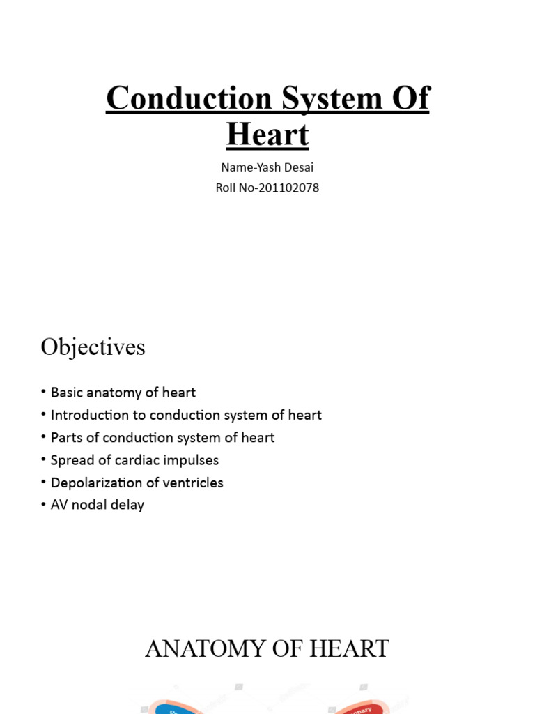 Conduction System of Heart | PDF