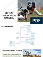  Sistem Gerak Pada Manusia