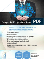 Proyecto Organizacional