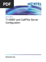 T1SMDI and CallPilot Server Configuration