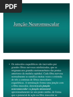 Junção Neuro