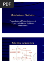 Metaboxidativo