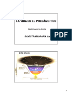 Vida en El Precambrico