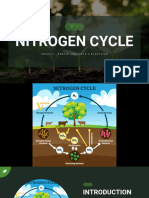 Nitrogen Cycle