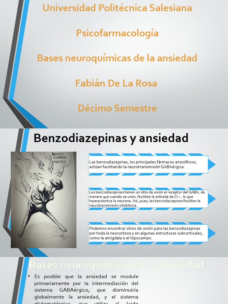 Bases Neuroquímicas de La Ansiedad | PDF