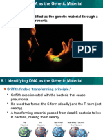 Unit8 Dnareplicationandtranscription