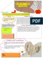 Diario de Campo Noticias 3