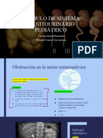 Sistema Urogenital