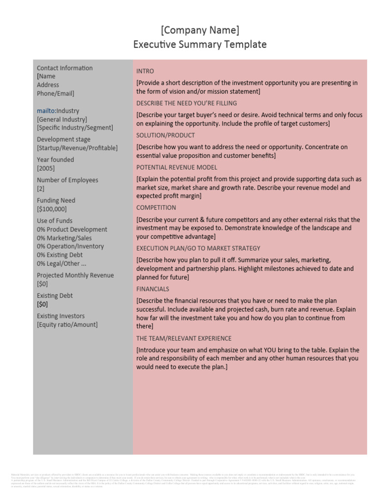 Executivesummarytemplate 02 | PDF | Marketing | Sales