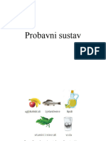 Probavni Sustav