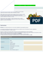 Apuntes Examen Bloque 3 Sistema de Aporte y Utilizacic3b3n de Energc3ada Nutricic3b3nnuevo