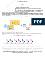 1re SVT La Replication de L'adn