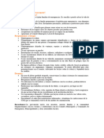 Qué Hacer en Caso de Terremoto