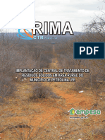 Rima Petrolina Final