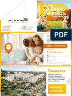 Brochure-Escarlata