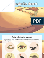 Animalele Din Desert