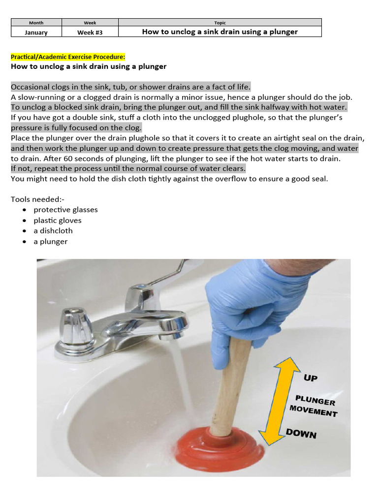11 Unclog A Sink by Using A Plunger PDF