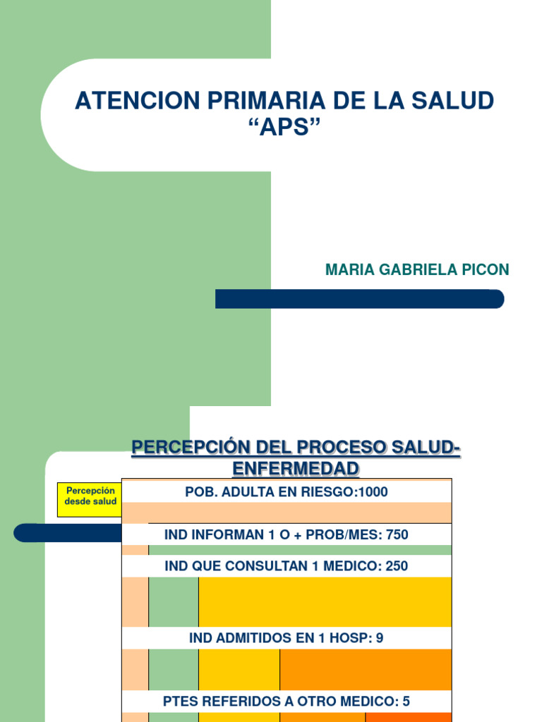 Atencion Primaria de La Salud "APS": Maria Gabriela Picon | PDF ...