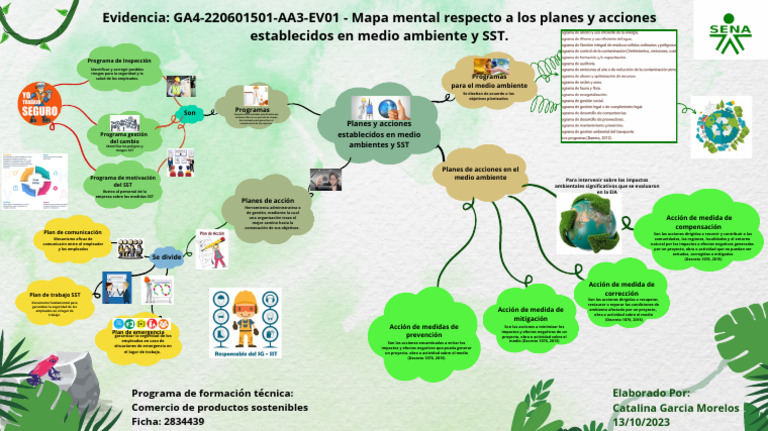 Planes y Acciones Establecidos en Medio Ambientes y SST | PDF | Entorno ...