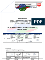 Pets-Op-001 V03 Habilitacion de Acceso y Plataforma