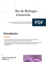 Trabalho de Biologia - Gonorreia