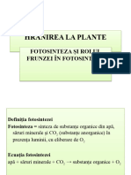Fotosinteza (Clasa A VI A)