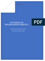 Actividad8 - Organizador Gráfico